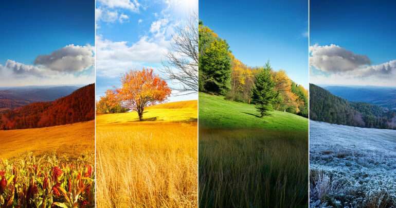 Seasons beauty & care