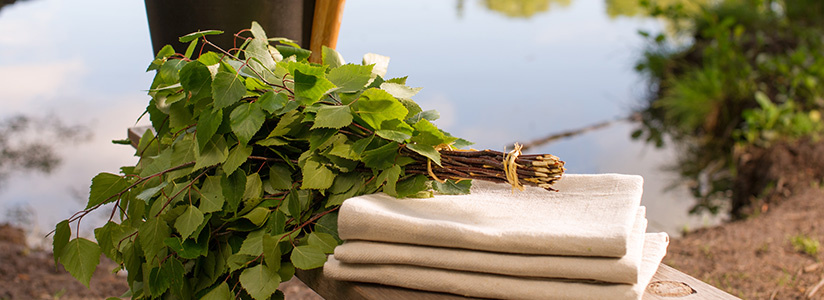 Birch branches for the Sauna