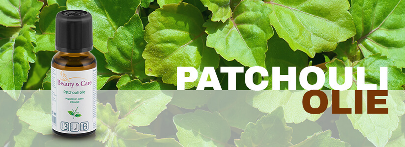 Patchouli essential oil